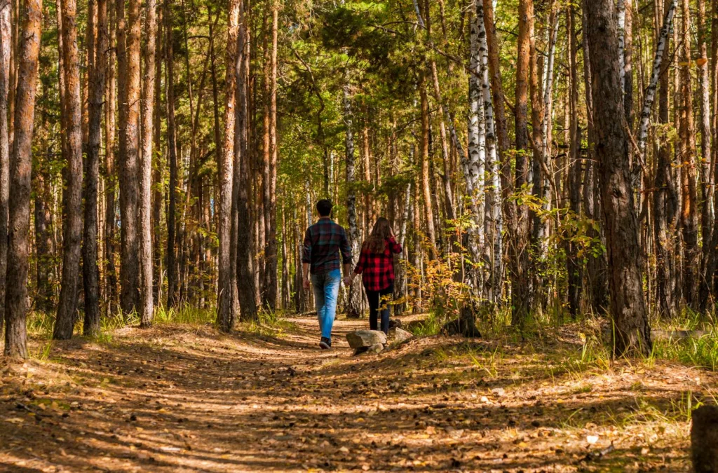 A Couple Walking in the Forest. Overcoming obstacles, passion in a marriage