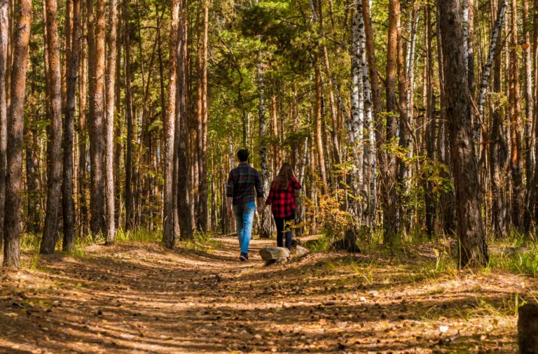 A Couple Walking in the Forest. Overcoming obstacles, passion in a marriage